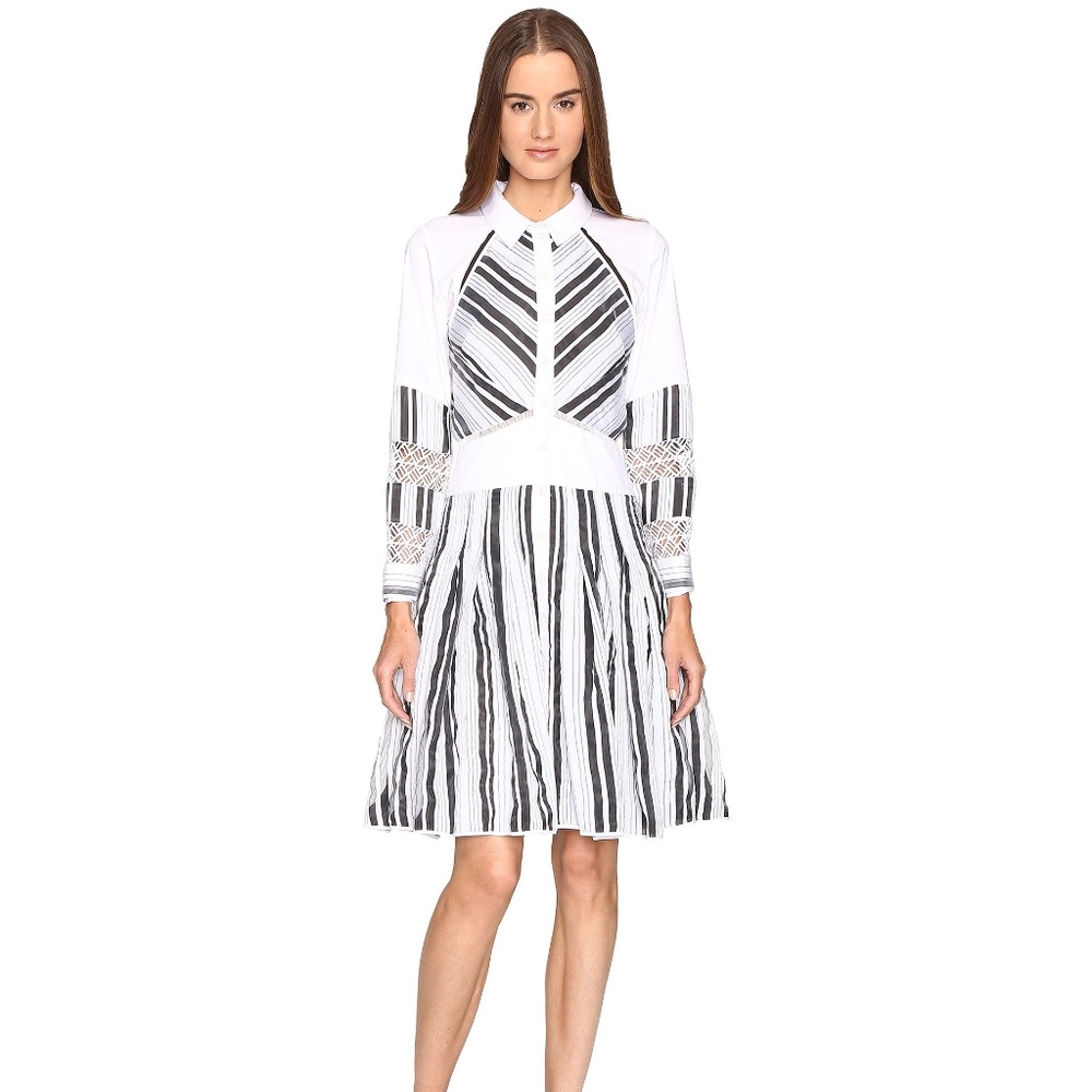 Zac Posen Organdy Stripe Black White Dress $1290! - Picture 2 of 14